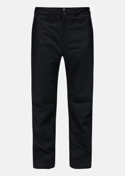Astral GTX Pant Men