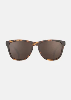 Bosleys Basset Hound Dreams