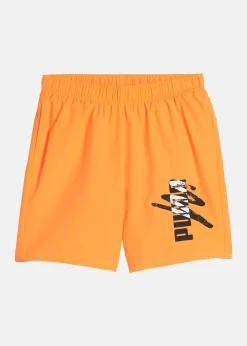ESS+ LOGO LAB Woven Shorts 5
