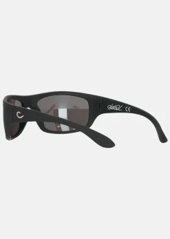 HP100A-1, Polarized Sunglasses
