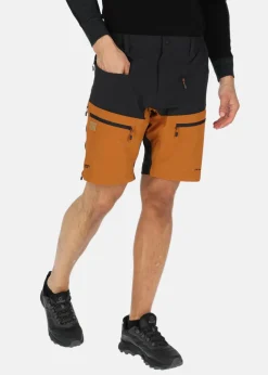 Lofoten Stretch Shorts