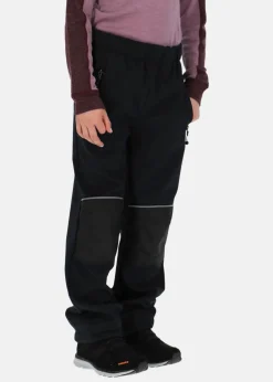 Ludo Softshell Pants W-PRO 800