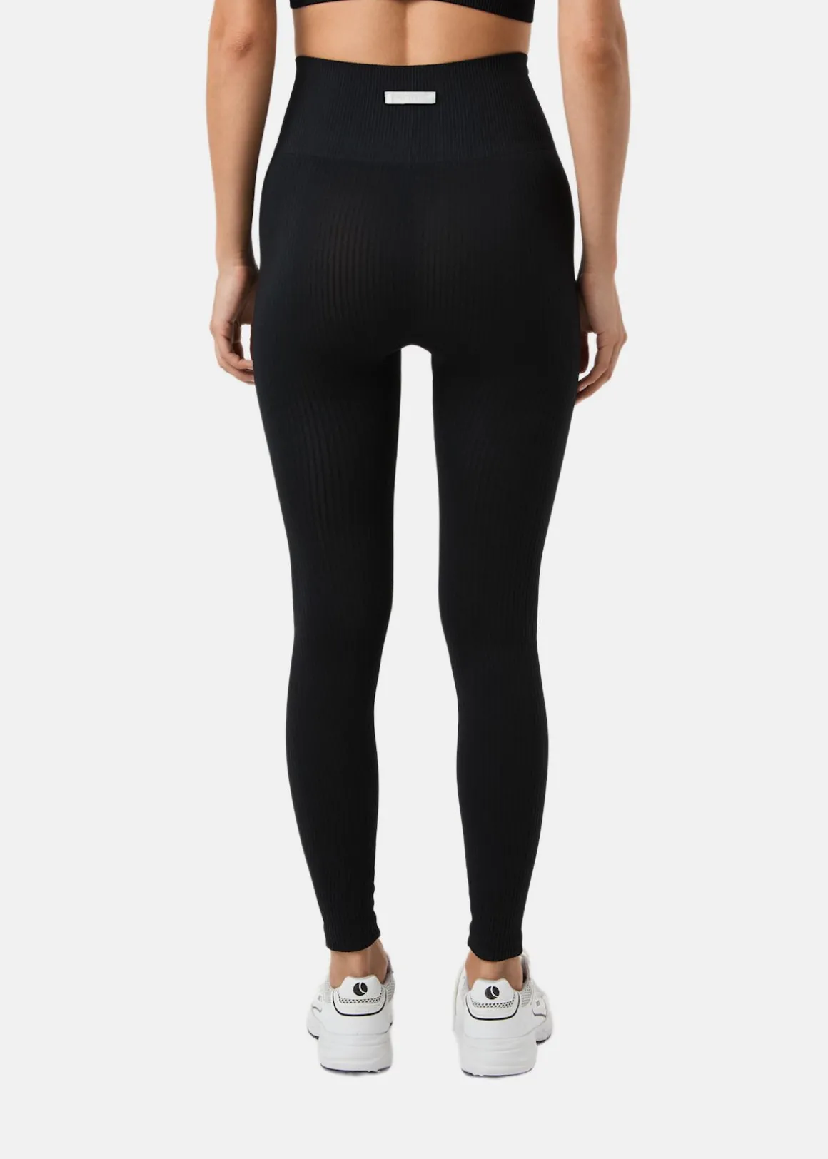 STUDIO SEAMLESS RIBBED TIGHTS