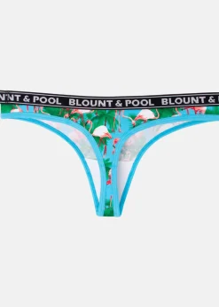 Tropical String 4-pack