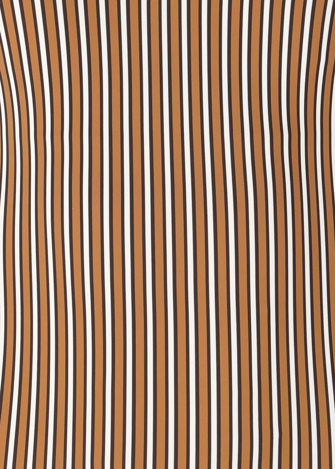 Ulanda W Print Plunge Swimsuit