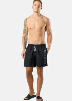 Venice Beach Swim Shorts